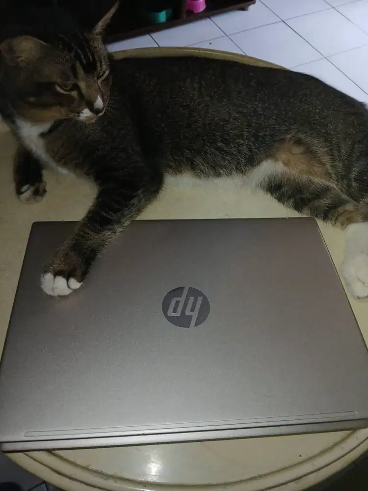 Jual Laptop HP Pavilion Aero 13-be1003AU