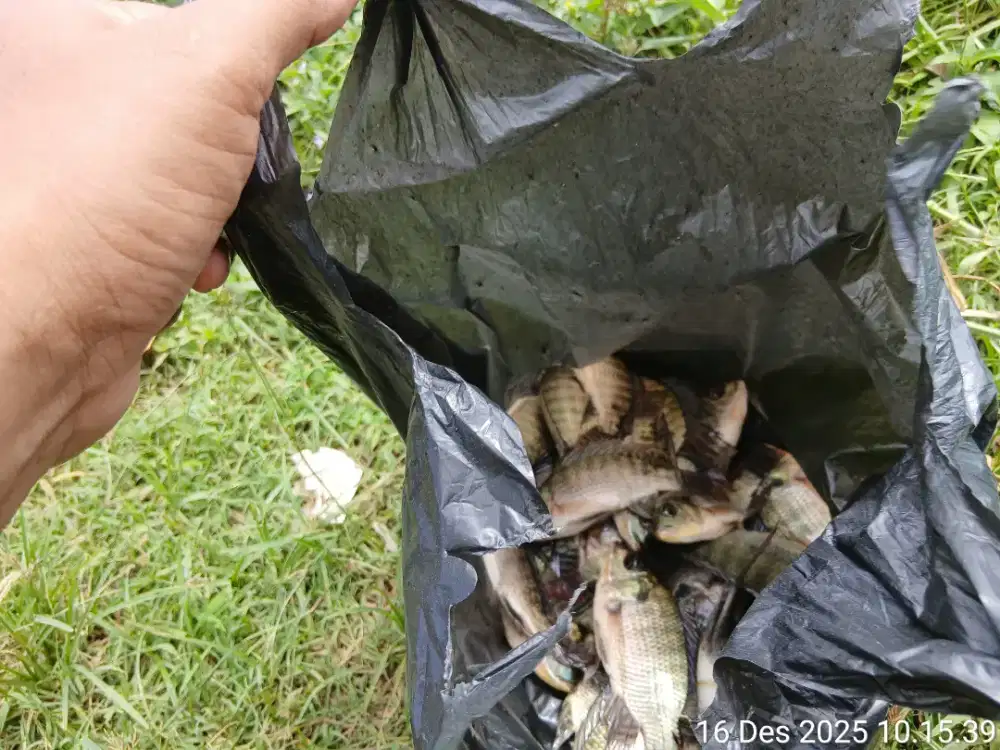 Sewa truk pindahan rumah dan alat proyek  dan lain²