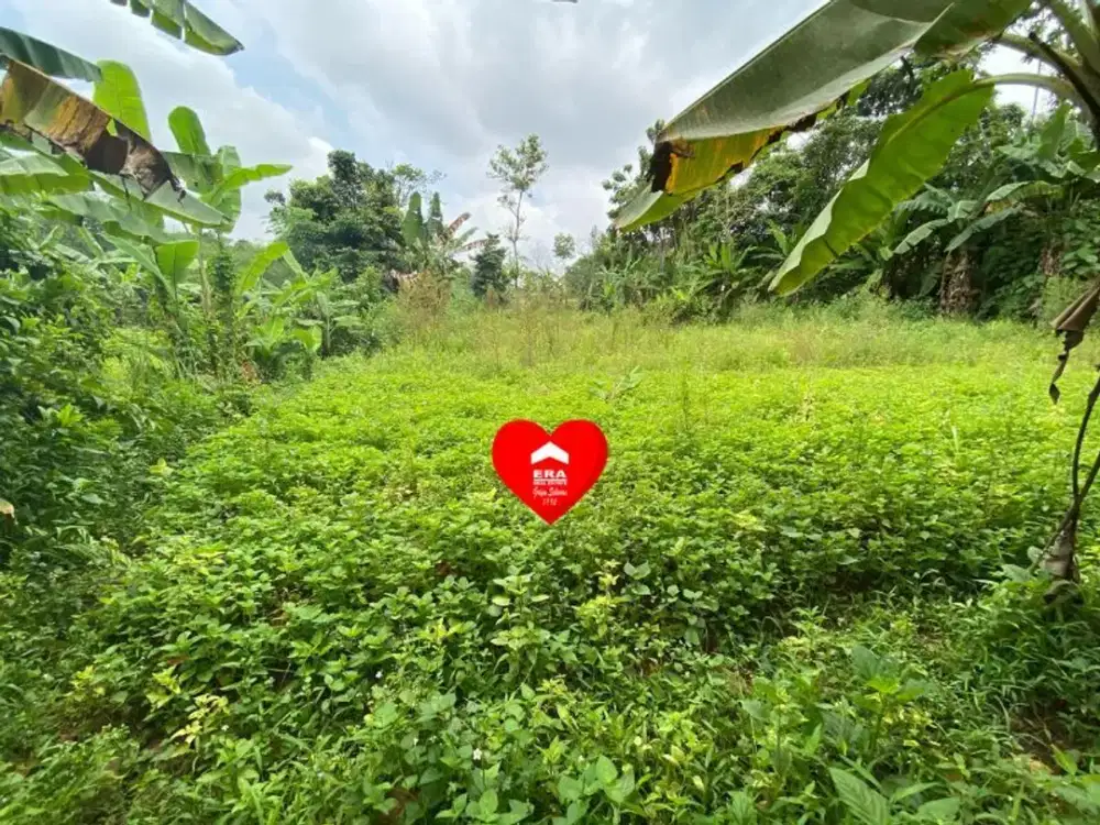 Tanah di Kabasiran Parung Panjang Bogor