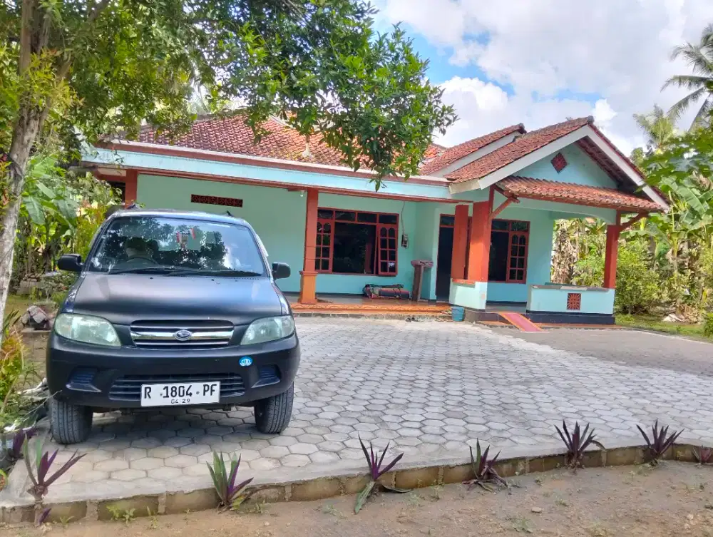 Jual santuy bisa nego