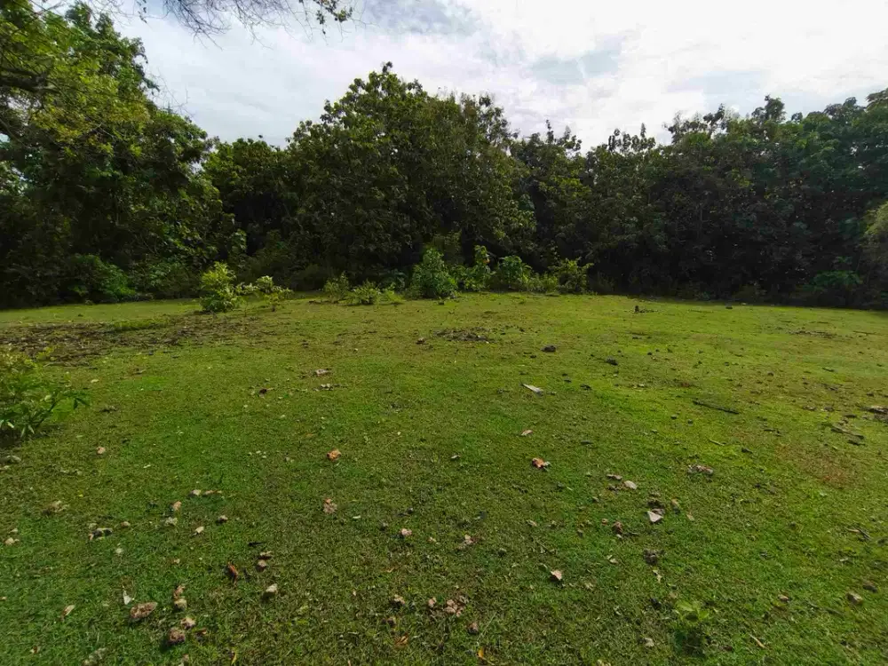 dijual tanah 1430m² IDR 590 juta per are kawasan pantai balangan jimbaran