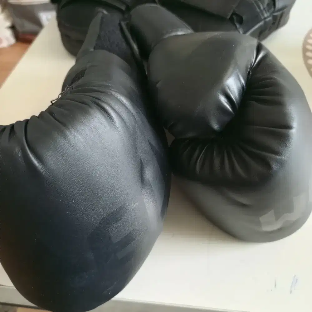 Glove Venum dan boxing pad wanafit