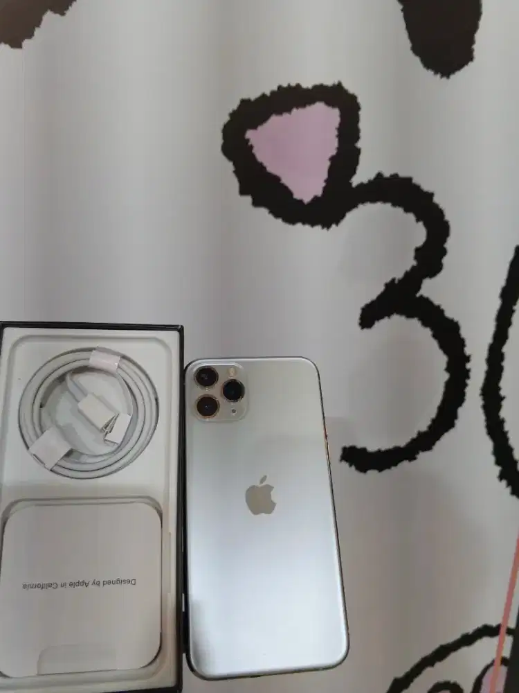 Iphone 11 pro 256gb tetap semangat silver