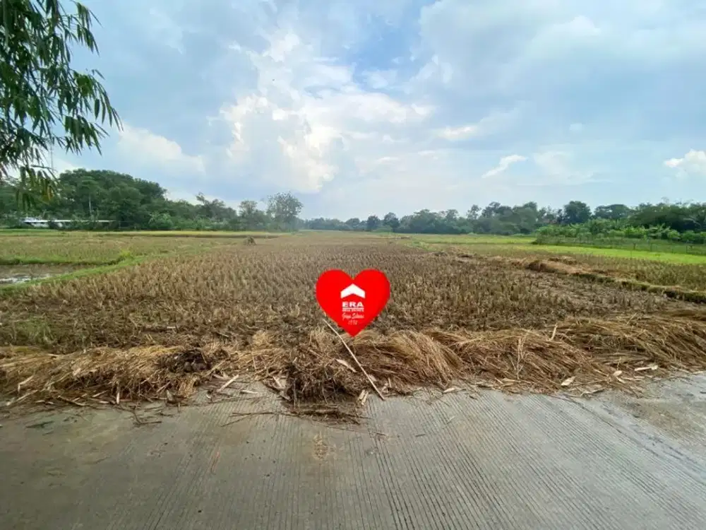 Tanah 800m2 di Jagabita Parung Panjang Bogor