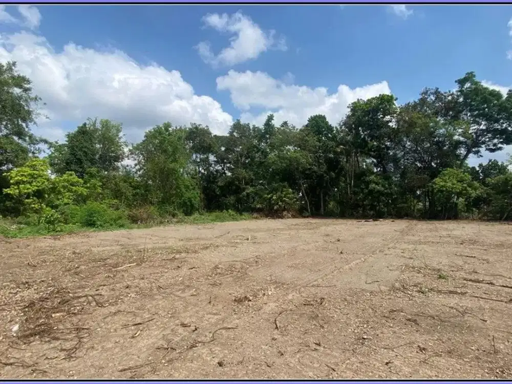 Free Pajak&Balik Nama Tanah Siap Bangun 100Meter Jl.lpmp Kalasan