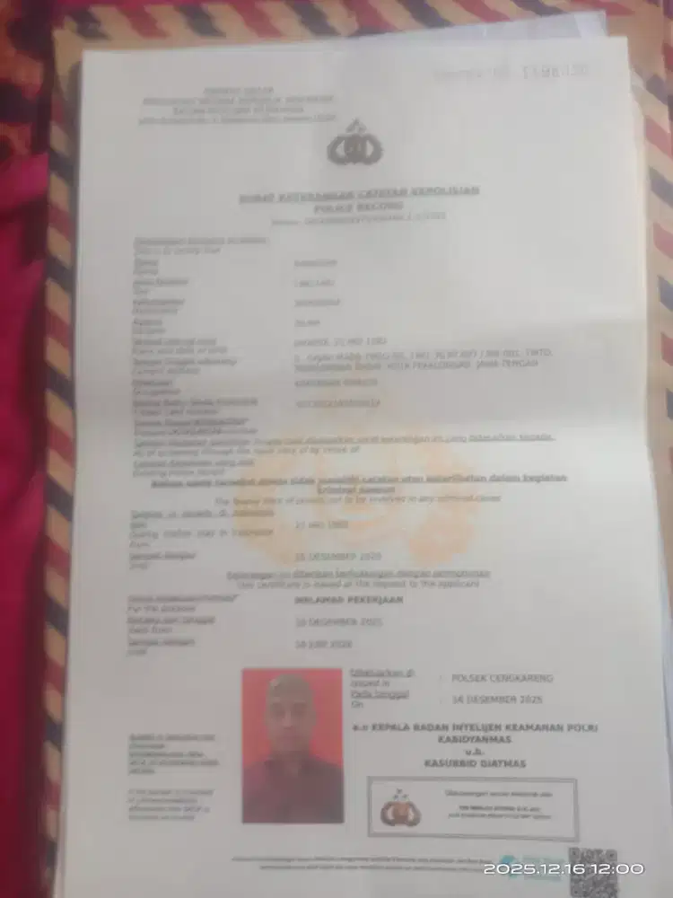 Mencari pekerjaan apa aja