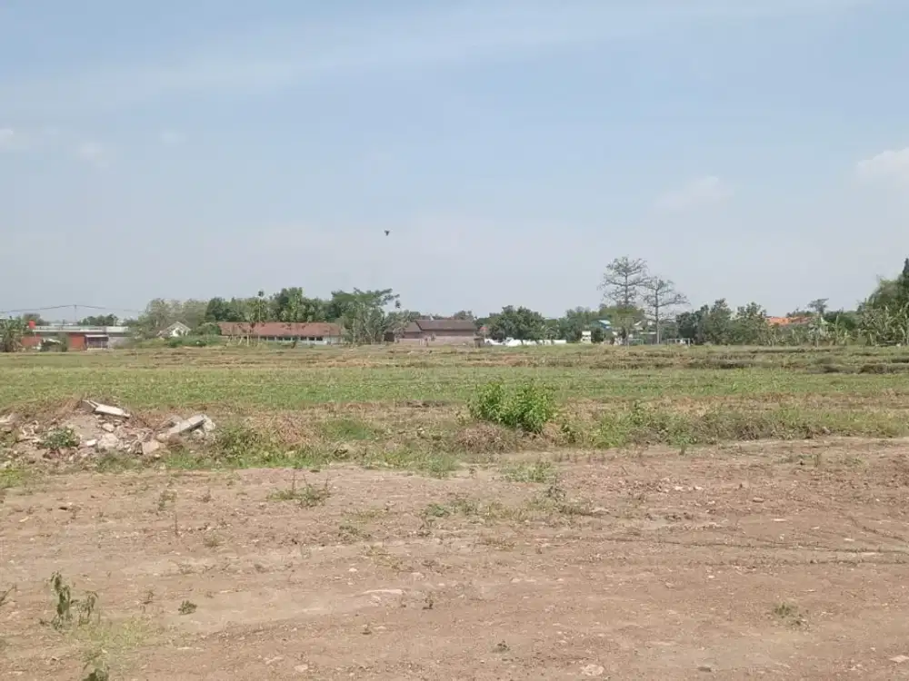 DiSewakan Tanah Pungging - Mojosari bentuk Ngantong 0 jln Raya Propinsi