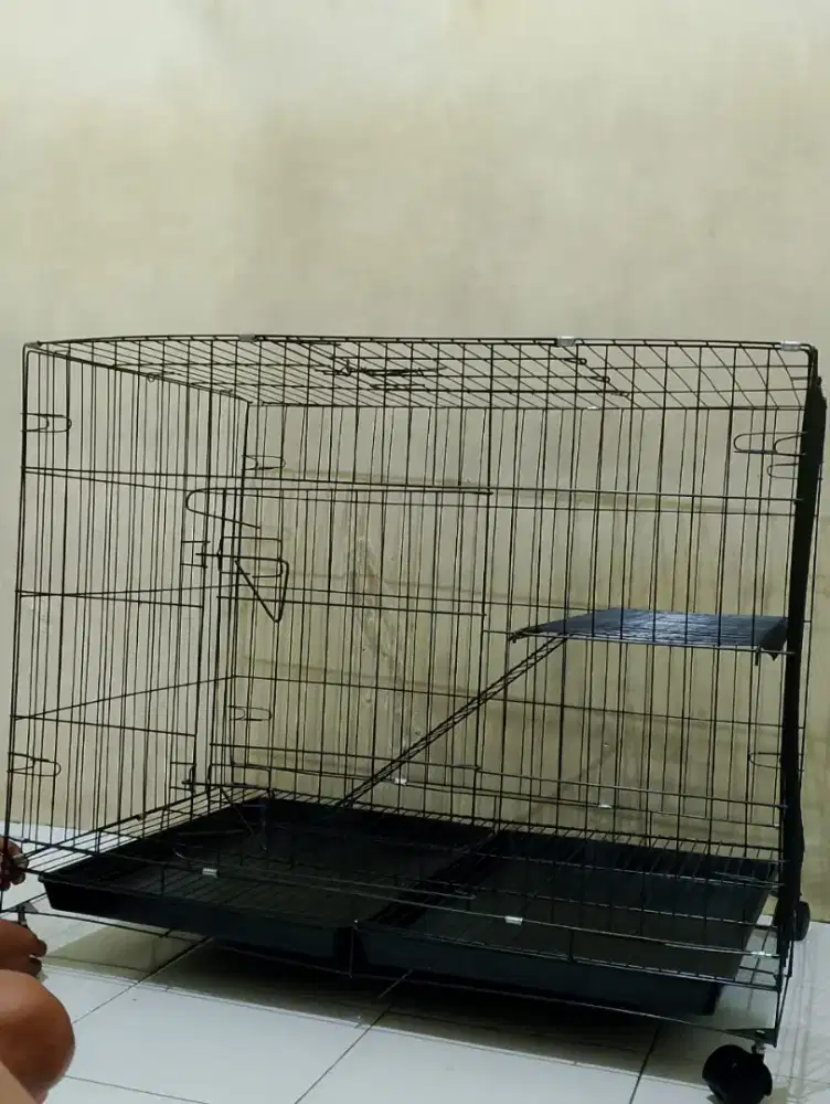 Kandang jumbo baru 90×60×70