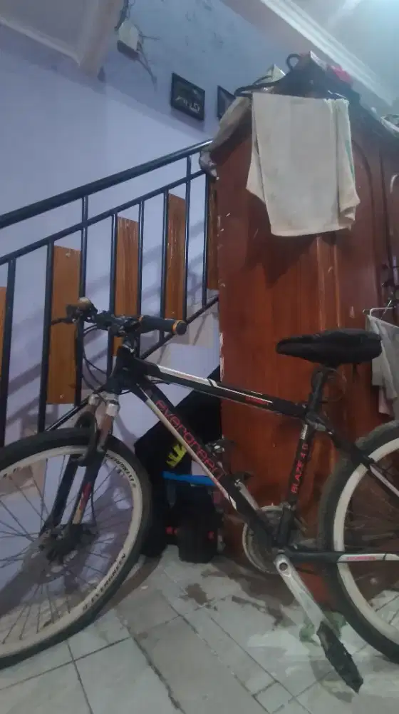 sepeda gunung mtb Evergreen blaze 4.0