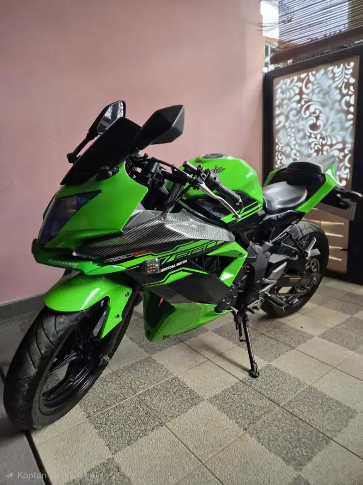 Ninja 250 SL mono