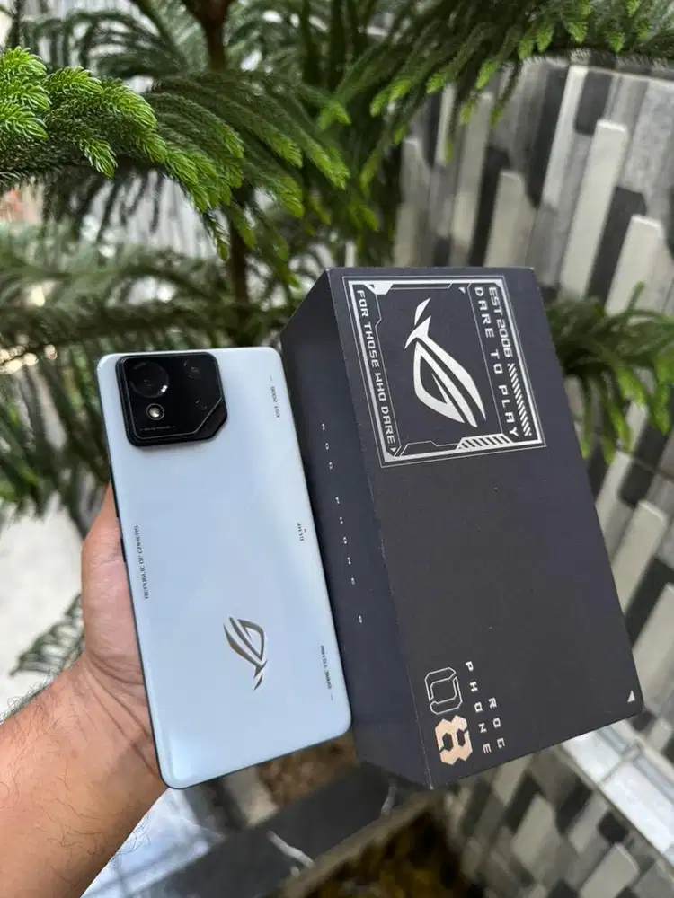 asus rog 8 5g 12/256gb fullset