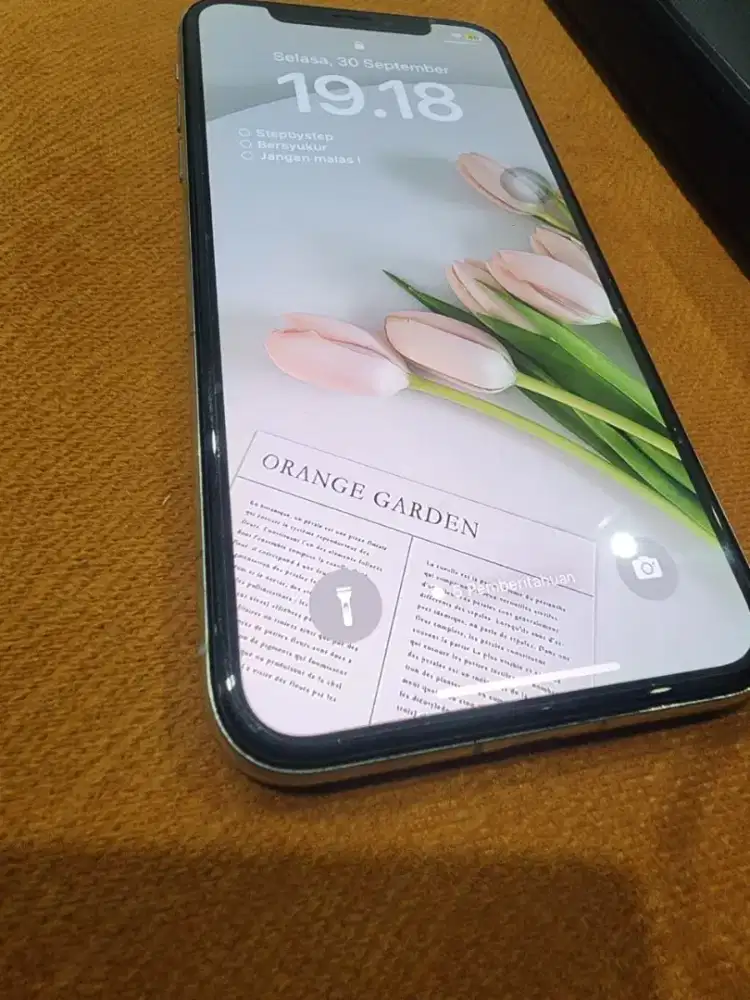 Iphone X 256Gb Ex Inter All Operator