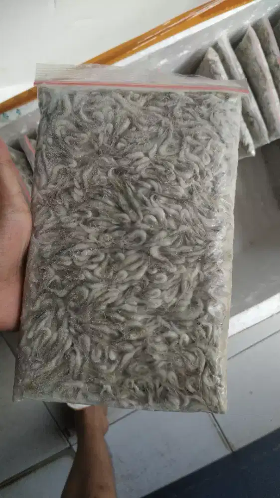 Udang sawah beku ukuran 500gram