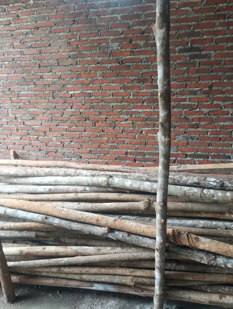 Kayu Perancah/Penopang