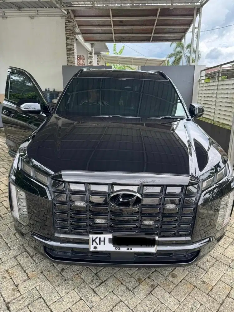 Palisade Signature NIK 2023 (pemakaian 2024)