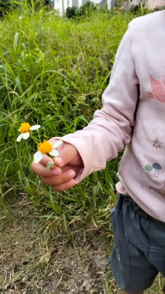 Dicari ART menginap  (serabutan)