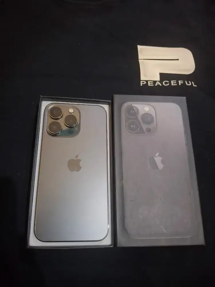 IPHONE 13 PRO 256GB GRAPHITE INTER