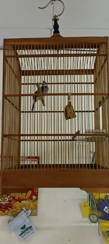 Kandang Sangkar besar Bonus trucuk