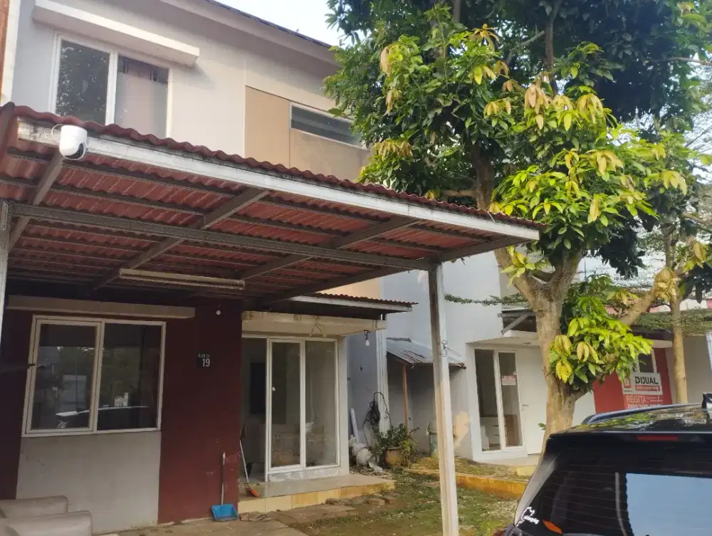 Serpong Lagoon Flaminggo