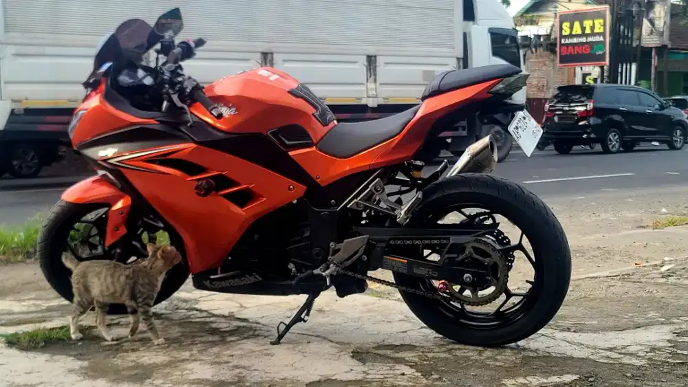Ninja 250 Fi Old Orange Mesin Segel