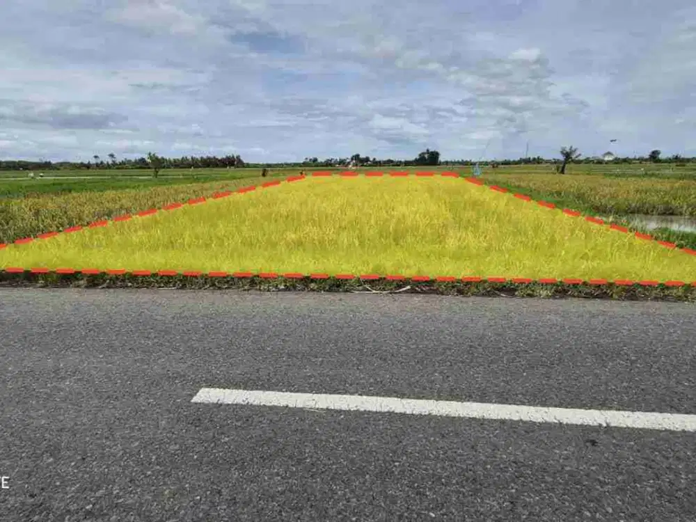 TANAH 900M2 PINGGIR JALAN ASPAL DI SANGKAR AGUNG JEMBRANA