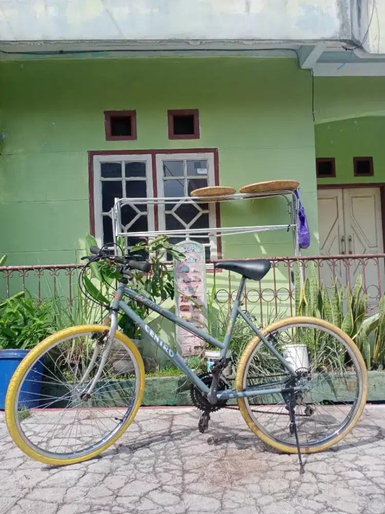 Bismillah .jual Sepeda Federal lady Centro Albany