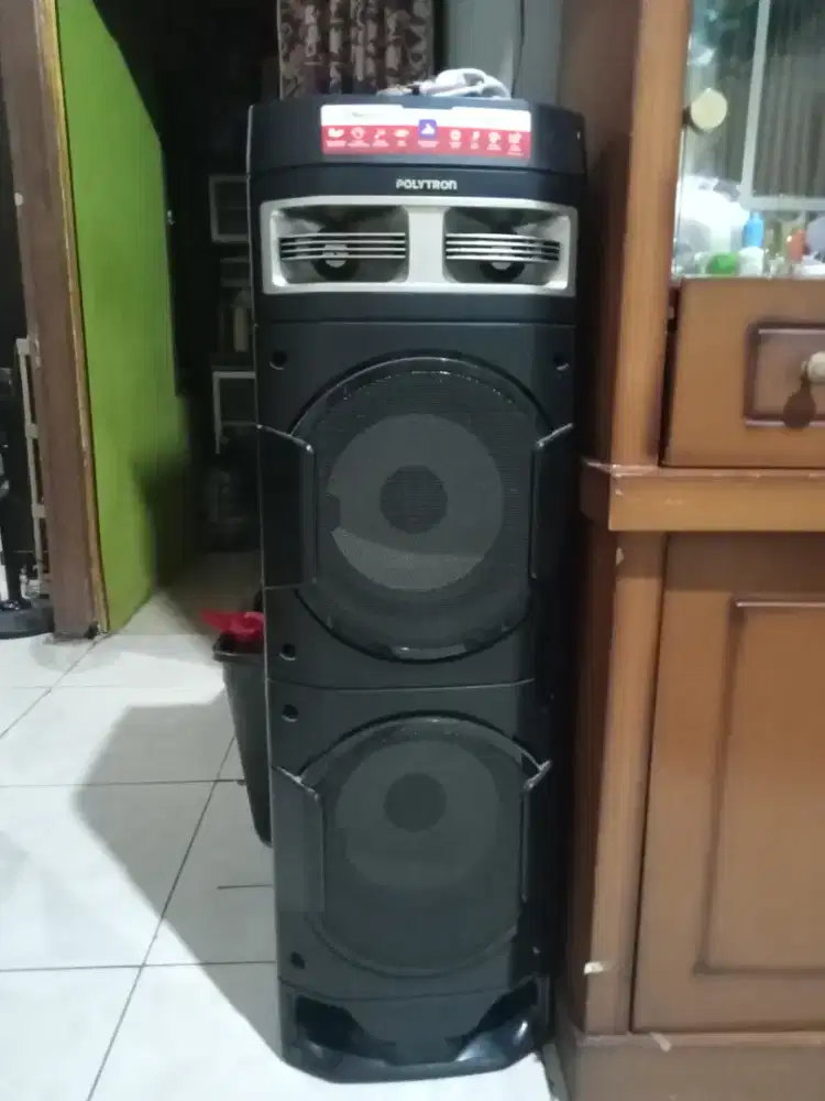speaker Polytron pas10D22