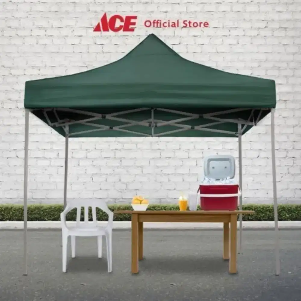 Tenda Ace hardware