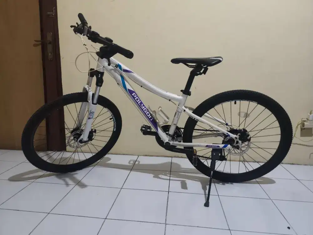 Jual Sepeda Polygron (second)