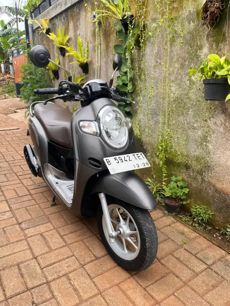 Honda scoopy 2019