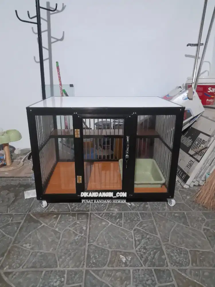 Kandamg kucing bandung