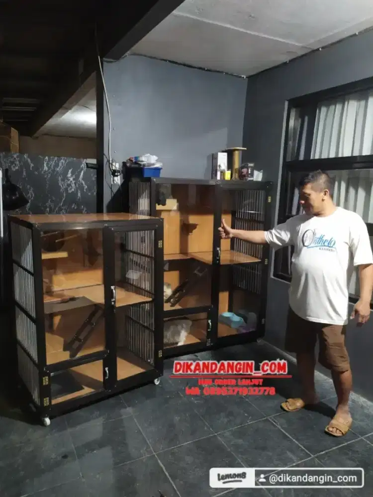 KANDAMG KUCING BISA COD