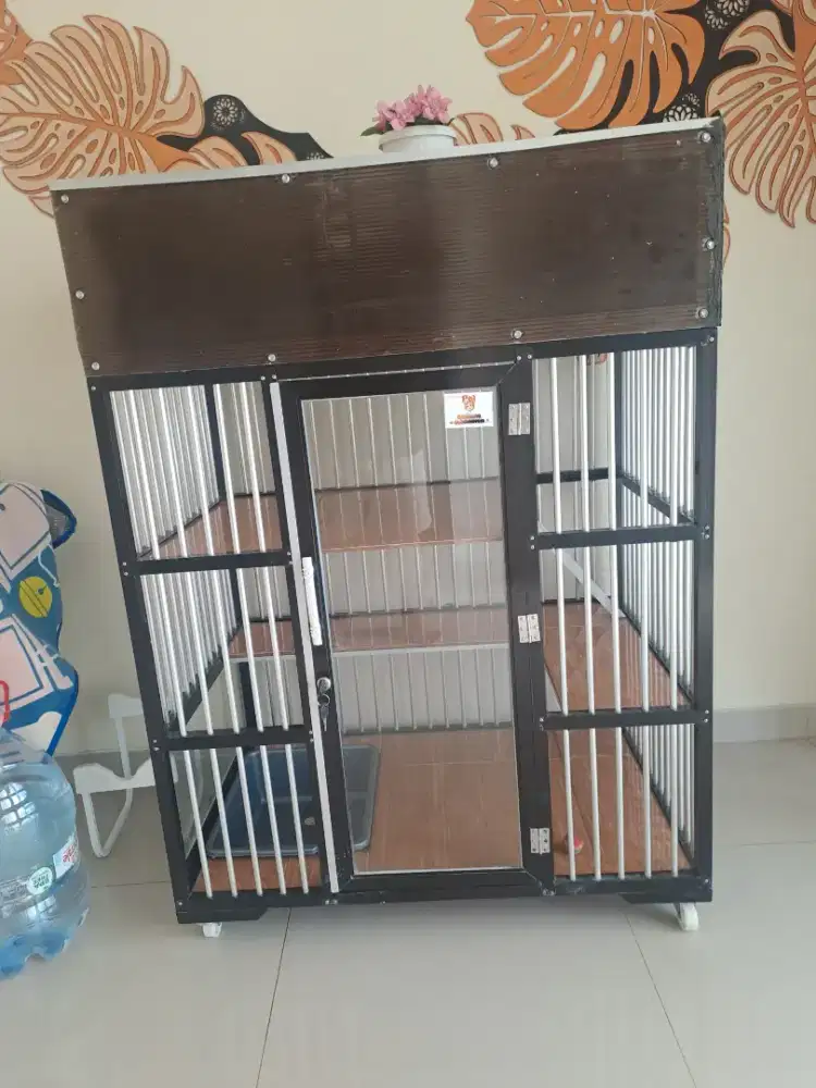 KANDANG KUCING muat 4 kucing