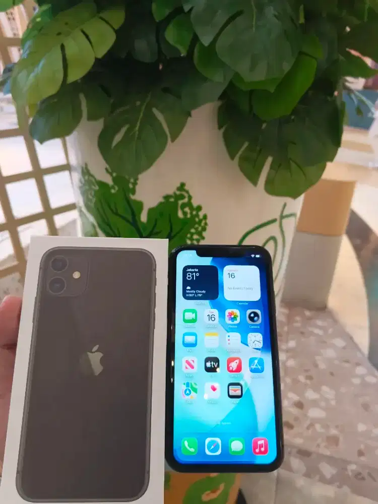 Iphone 11 256 gb mampu baru murh
