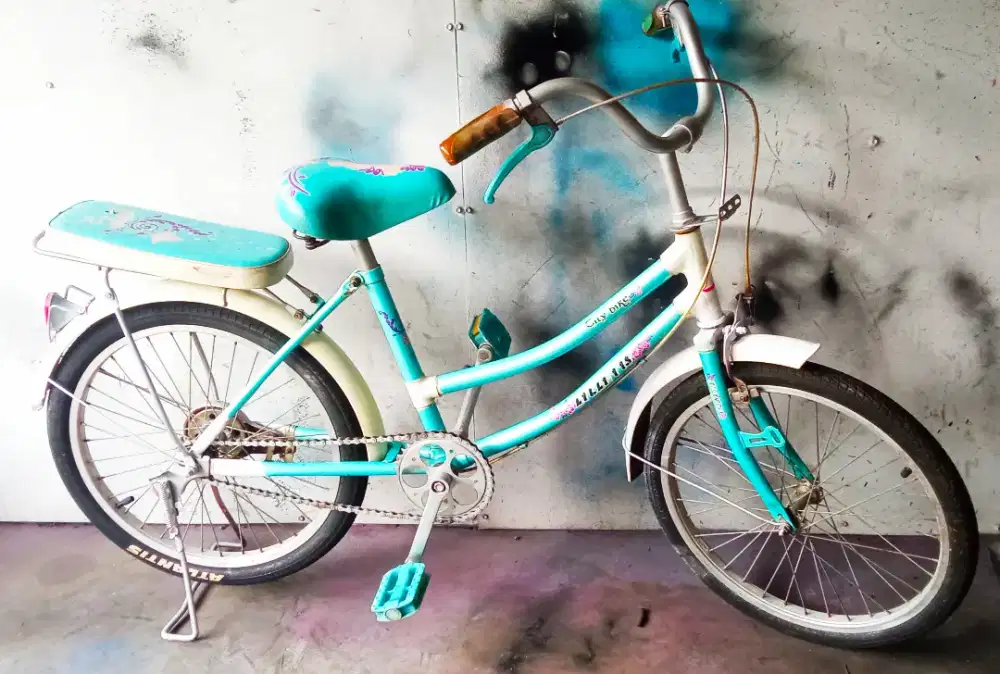 Sepeda 20in anak perempuan