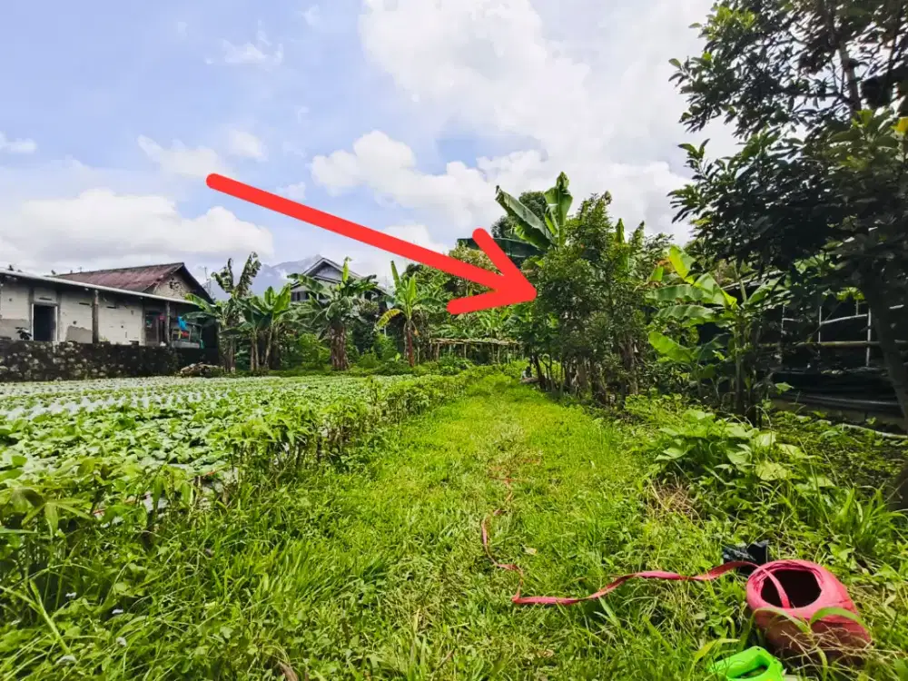 Dijual Tanah murah meriah