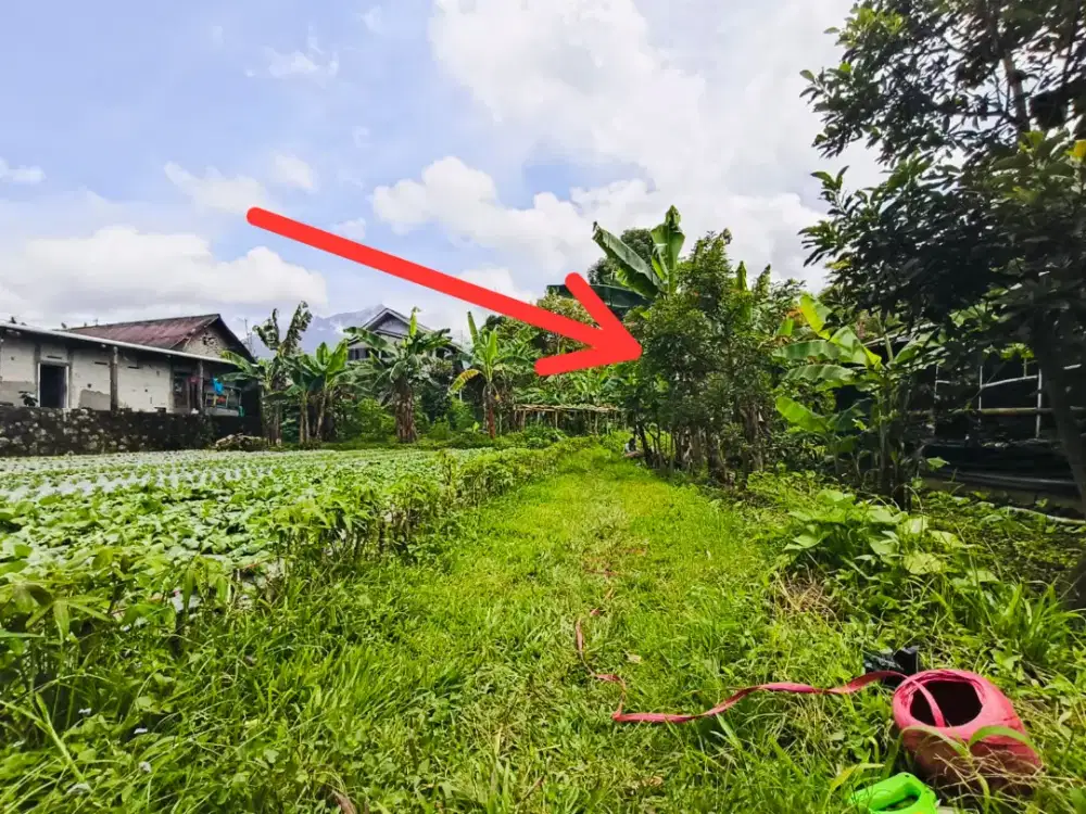 Dijual tanah murah tawangmangu