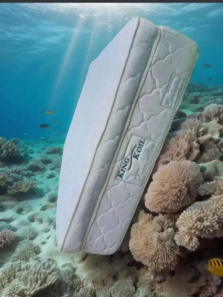 Istimewa Springbed Kingkoil Lancester tuebal uk 120 bersih nominus