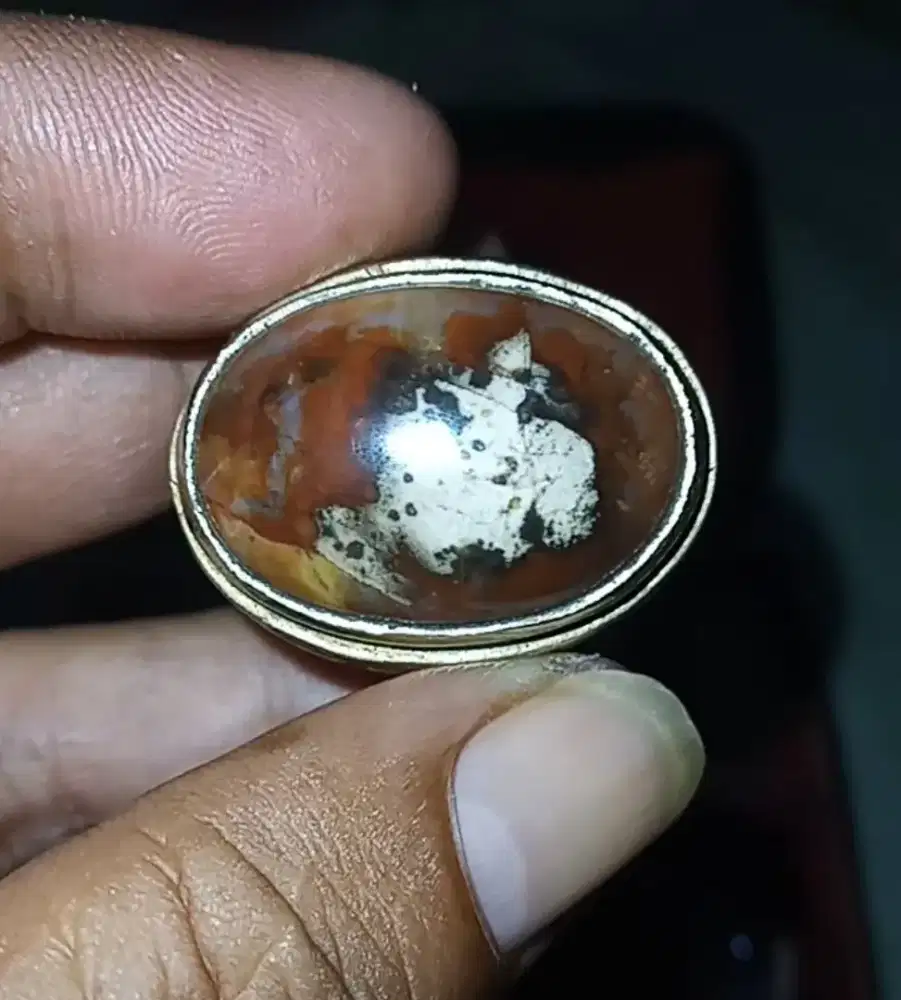 Batu cincin akik karang tunggal gambar