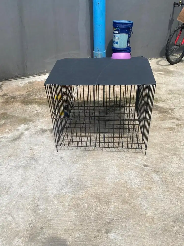 Kandang anjing atau kucing