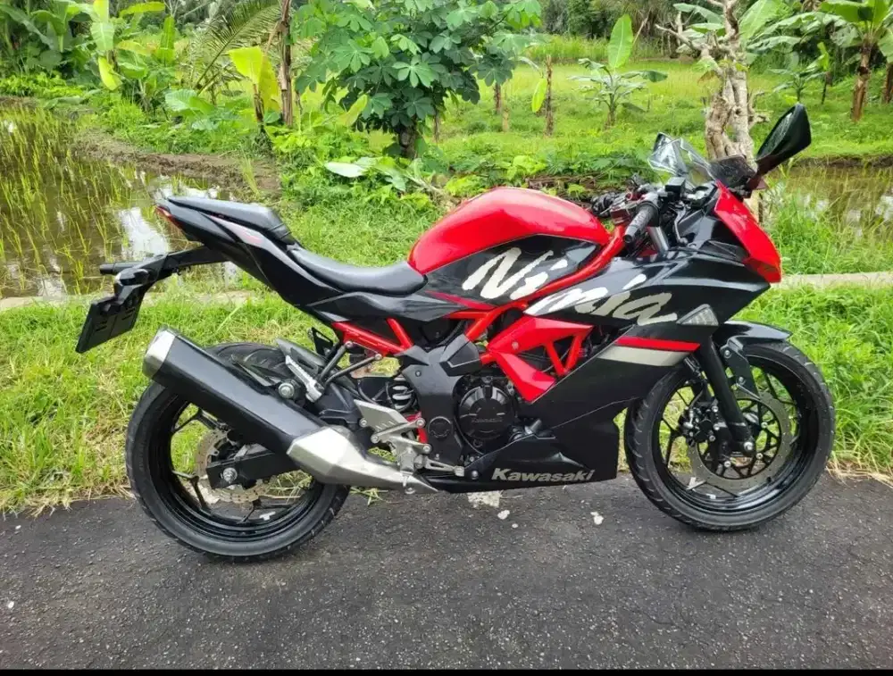 Ninja RR 250 2019 plat AB Sleman (kredit DP NOL)