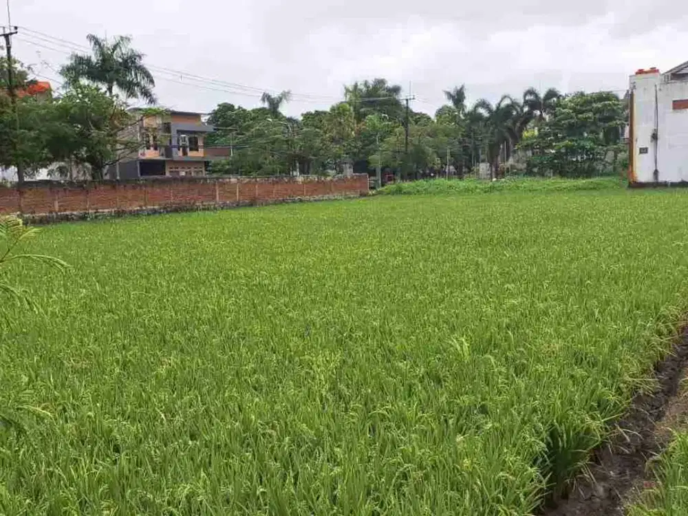 Tanah SHM on hand 2.4 hektar lebar muka 60m dekat Summarecon Bandung