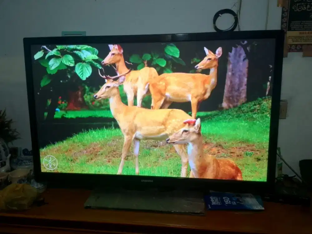 Tv led samsung plasma 43 inc + stb