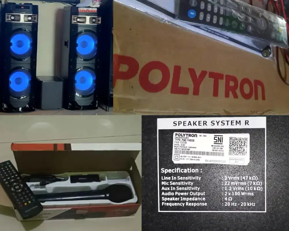 Speaker POLYTRON 10DF29