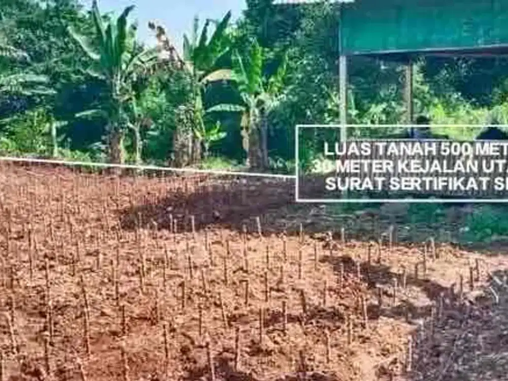 TANAH MURAH TANAH DARAT DEKAT DARI JALAN UTAMA CISEENG PARUNG BOGOR
