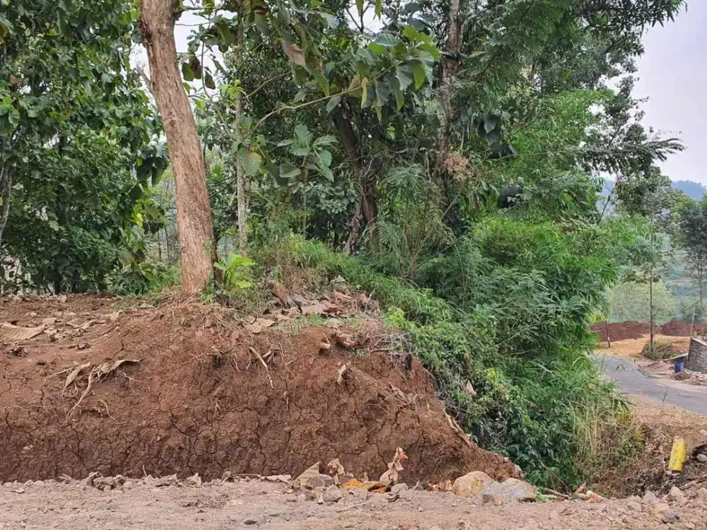 Ds. Dalisodo - Malang