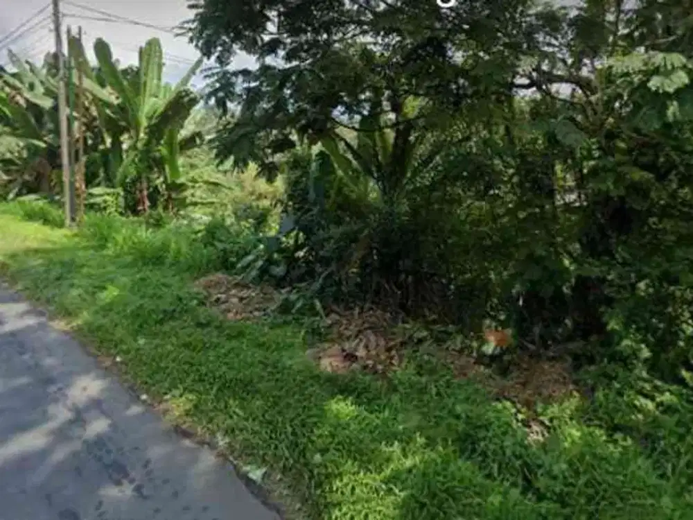 Desa Amadanom - Dampit