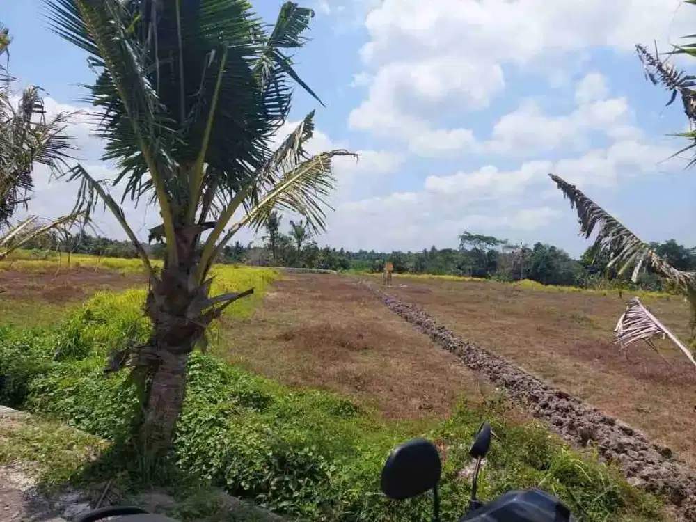 DIJUAL TANAH MURAH KEDUNGU