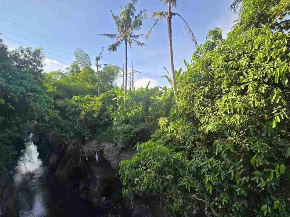 Di Jual Villa Joglo Lantai 2 view cakep jungle and river sawah