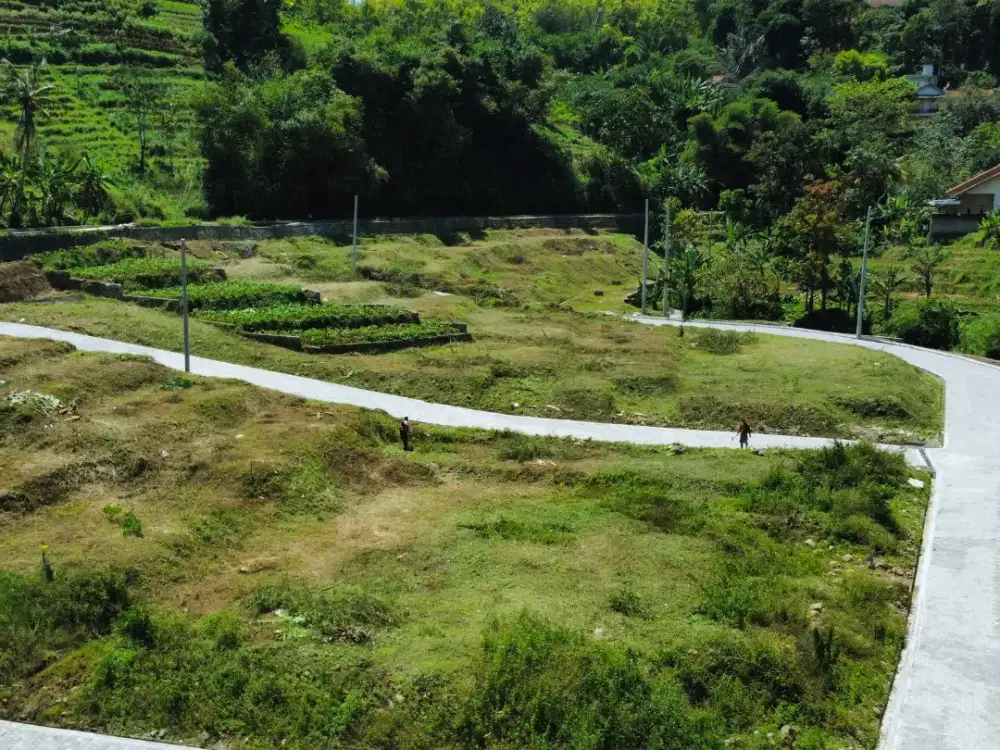 Strategis di Titik Pertemuan 3 Kampus Elite! Udara Tetap Terjaga Karena Kepadatan Terkontrol